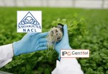 NACL Industries Rights Issue Dates