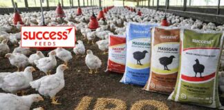 Simran Agrovet IPO Allotment Status